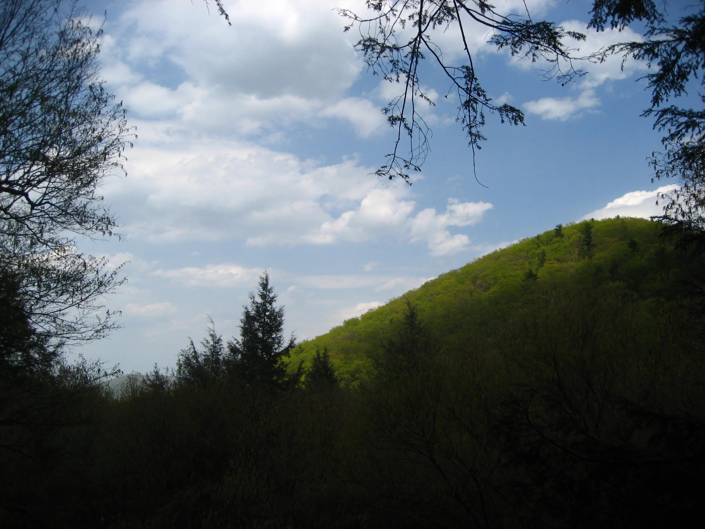 Mount Nittany