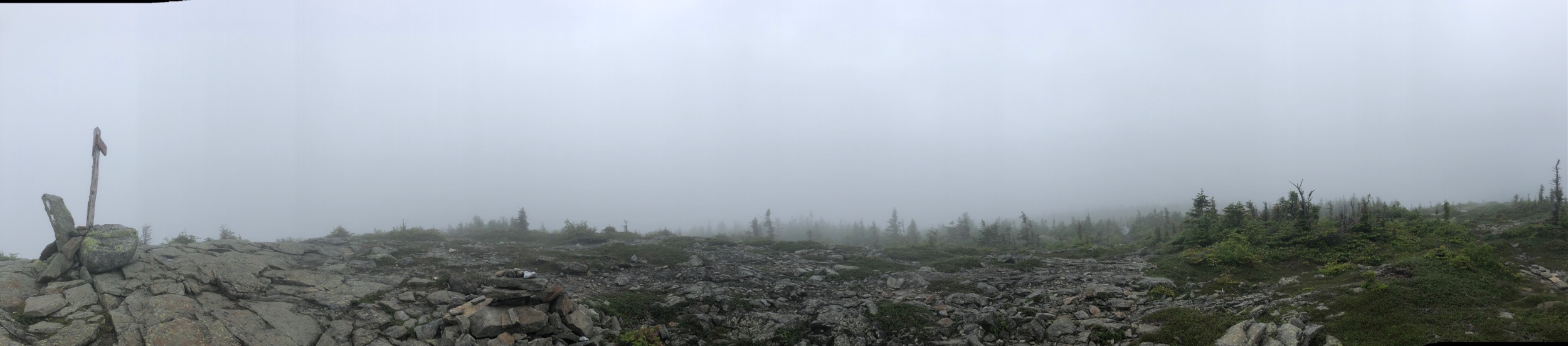 Top of Saddleback Jr.
