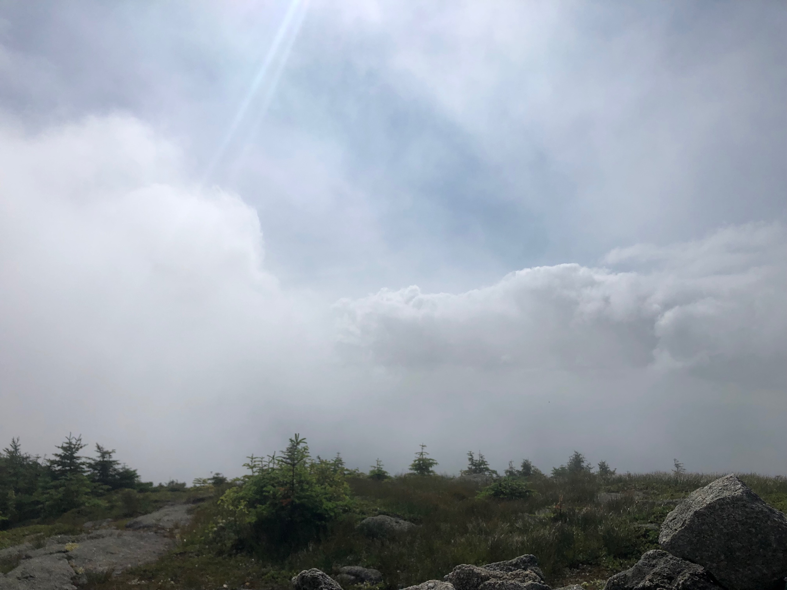 Clearing the Clouds