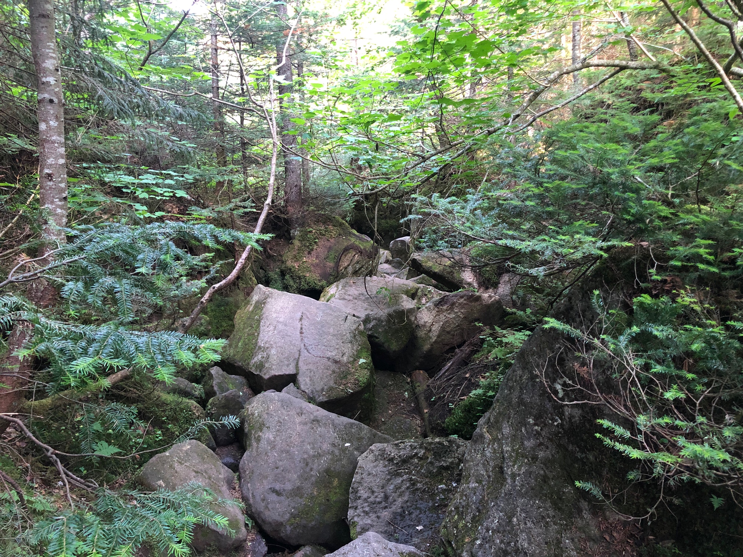 The Trail Through Mahoosuc Notch
