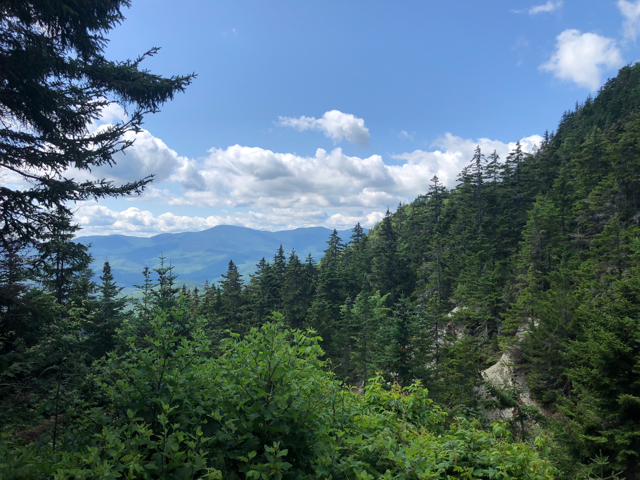 The View from The Gentian Shelter
