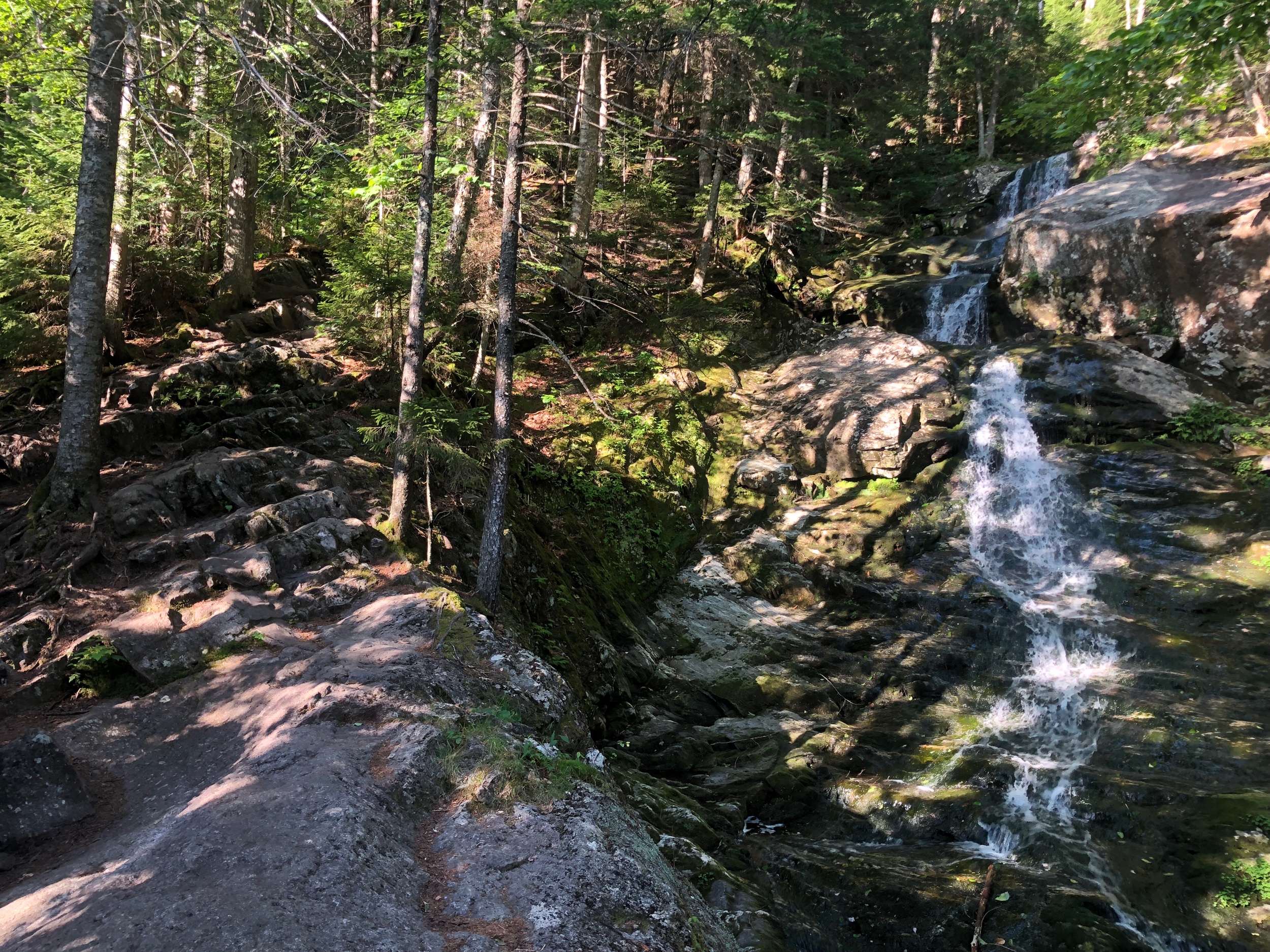 Climbing Moosilauke