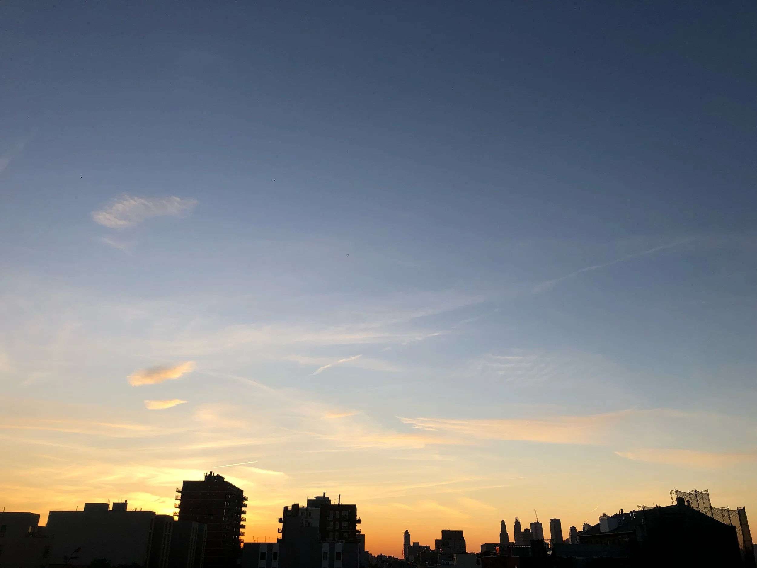 IMG_1909.jpeg