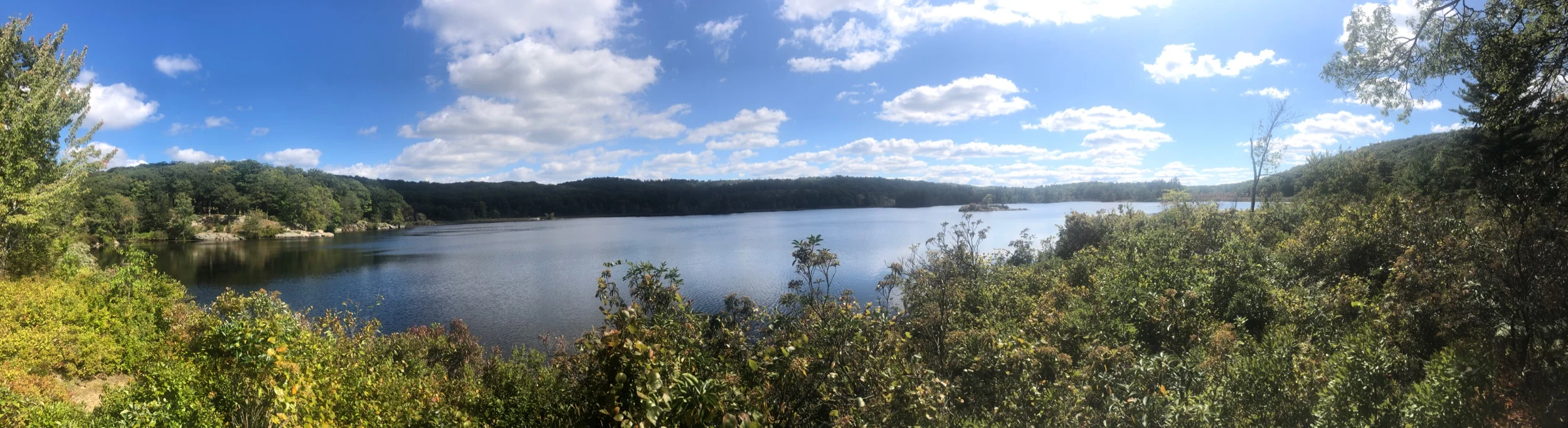Island Pond Looking like Montana