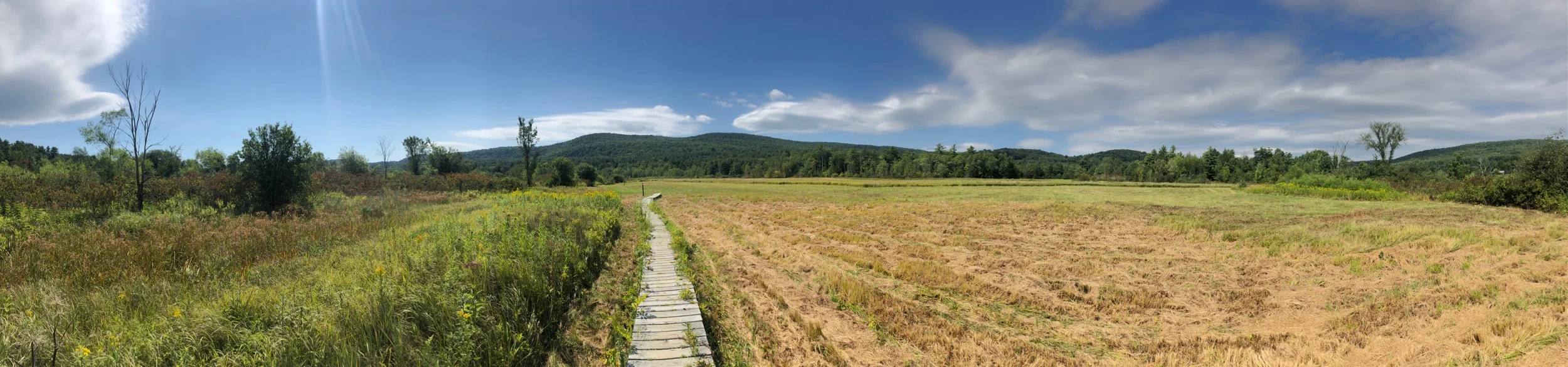 Beautiful Fields with a Boardwalk