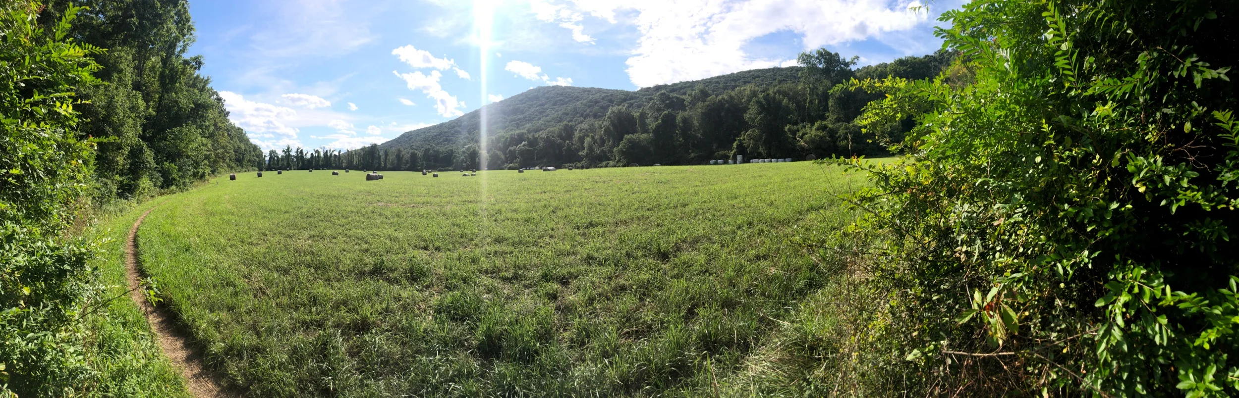 The Trail in Connecticut