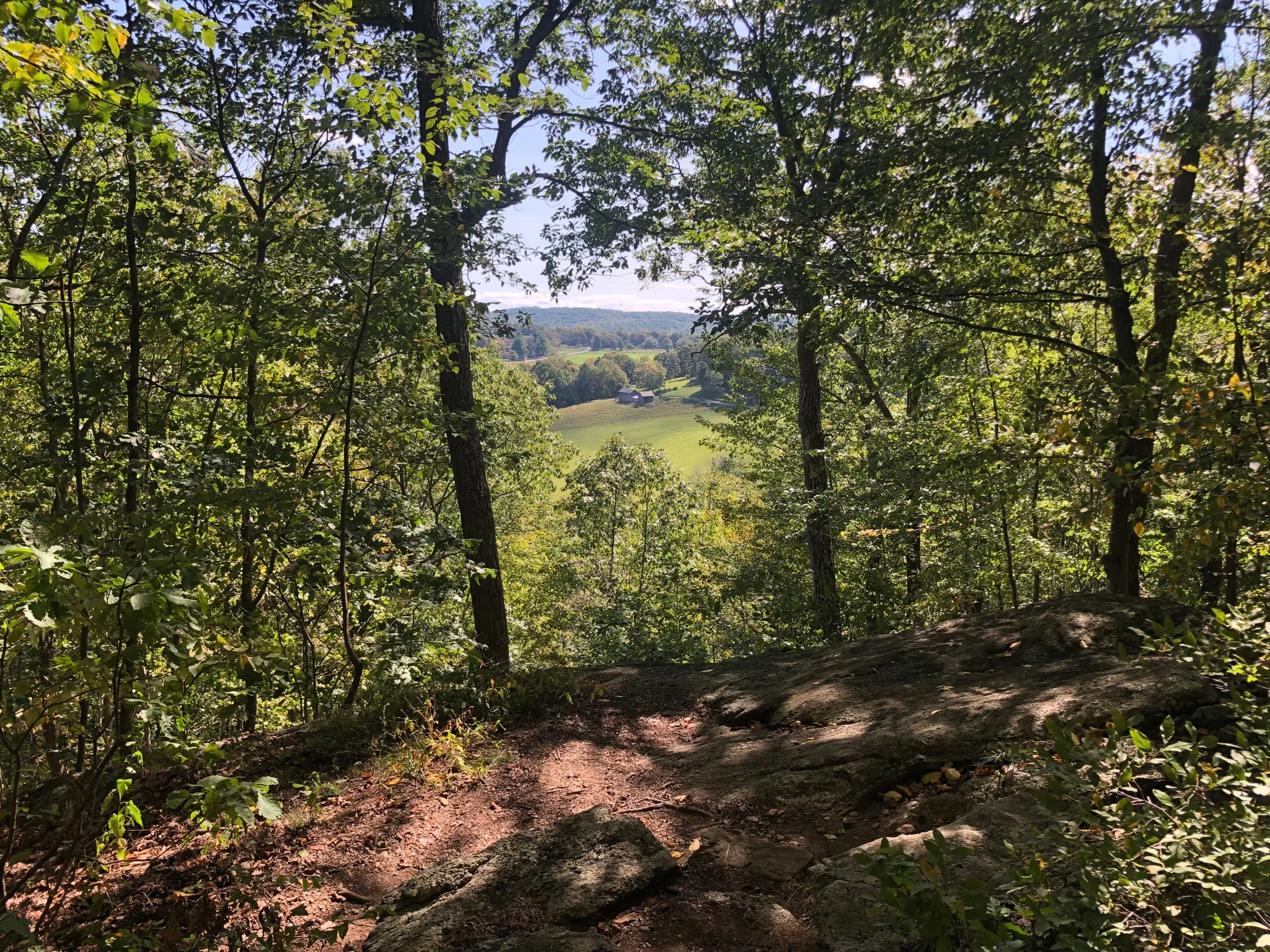 A Look at the New York Country Through the Trees