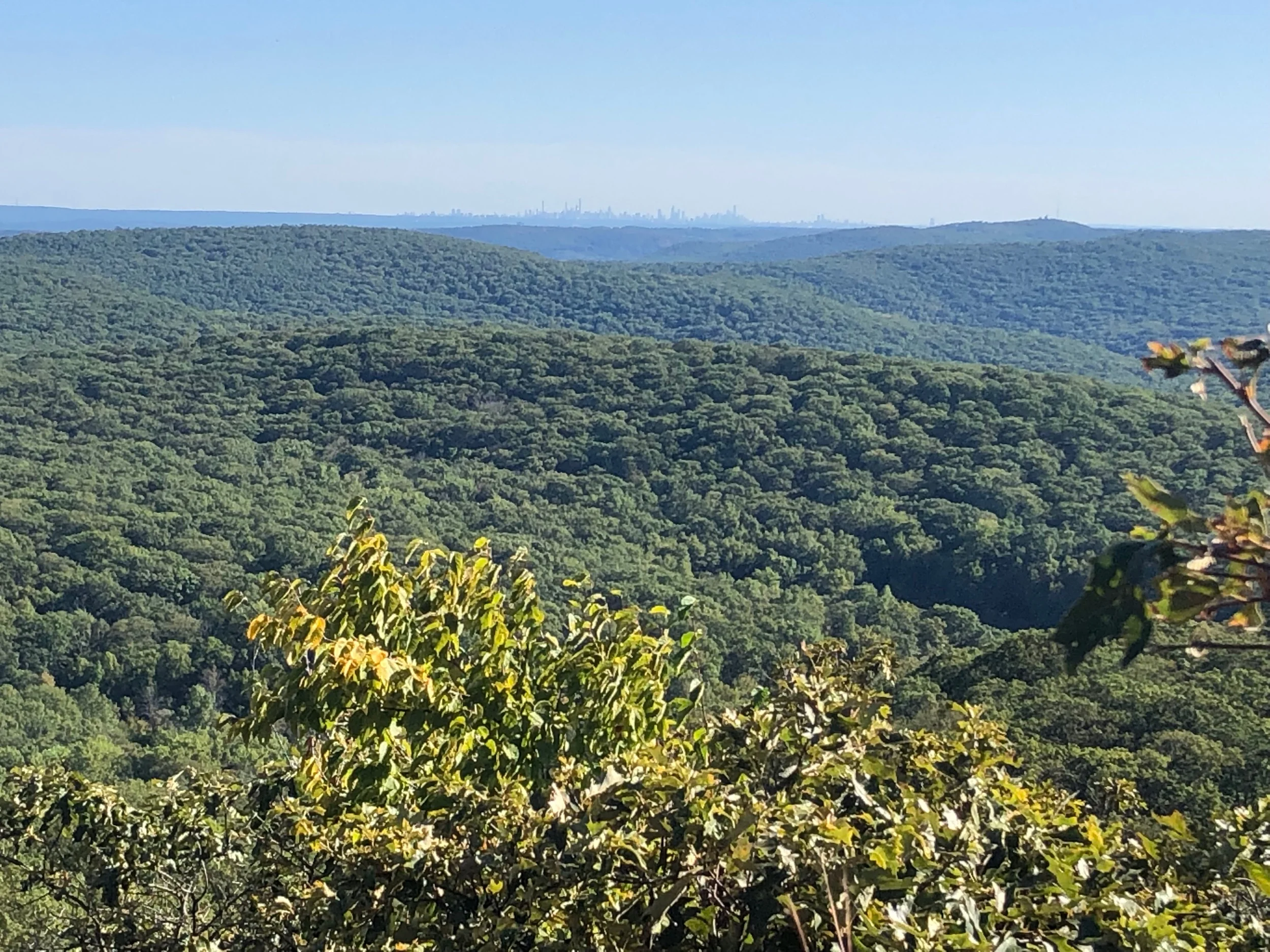 The NYC Skyline from the Trail