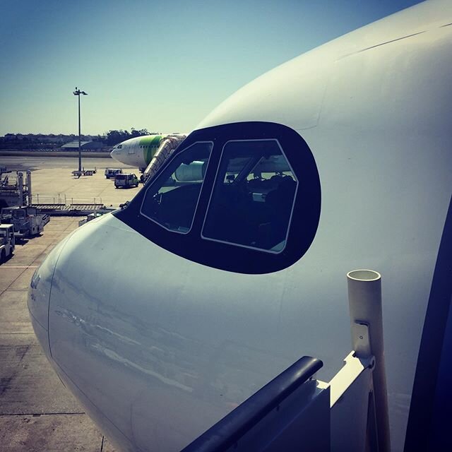 The &quot;bandit's #mask&quot; #A330neo #nose #closeup #tapairportugal #aircraft #airline #aviation #flying #travel #instaplane #planeoftheday #instaplane #instamood #picoftheday