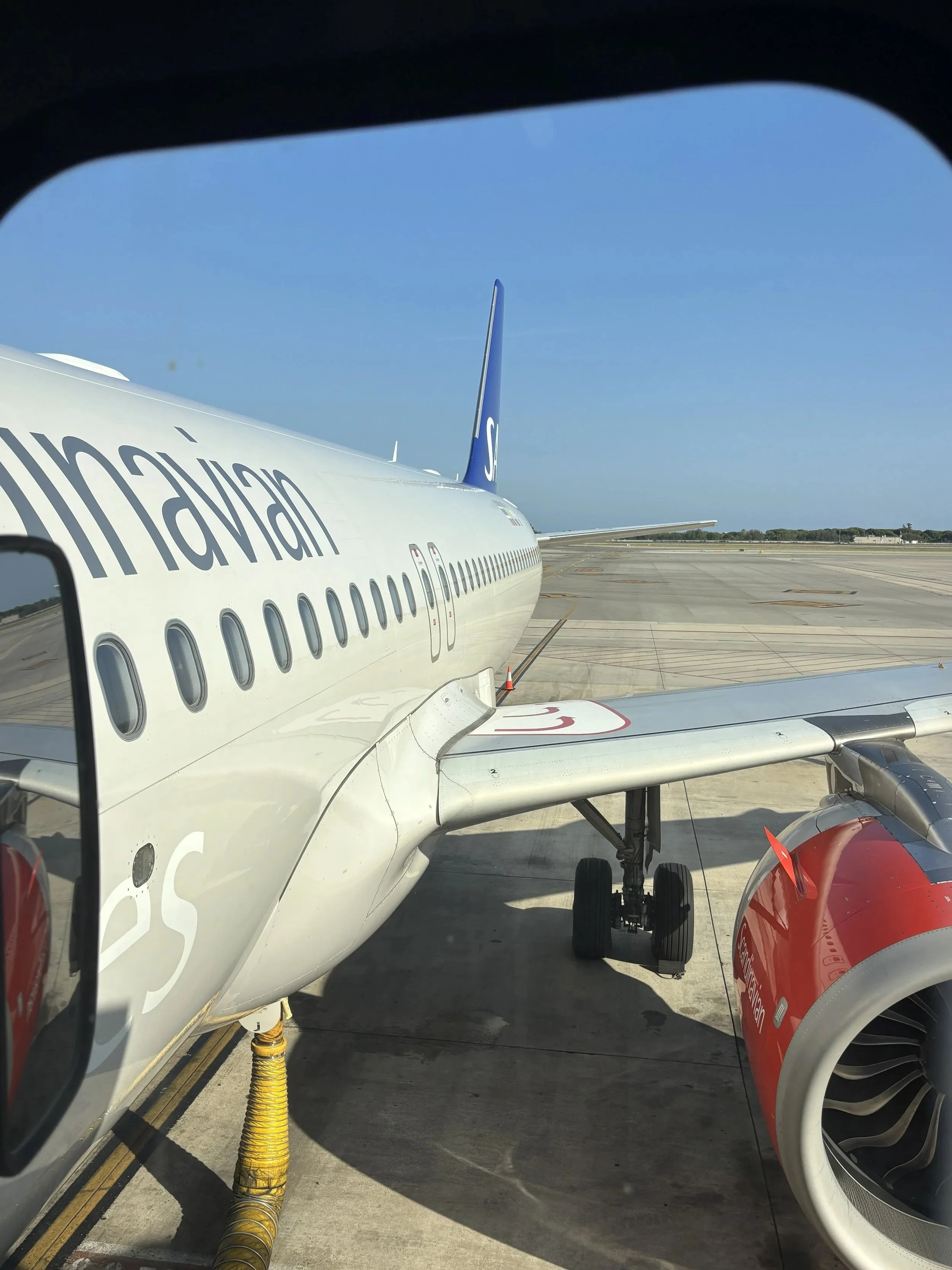 Flight Review: SAS Economy Class (A320neo with Starlink!)