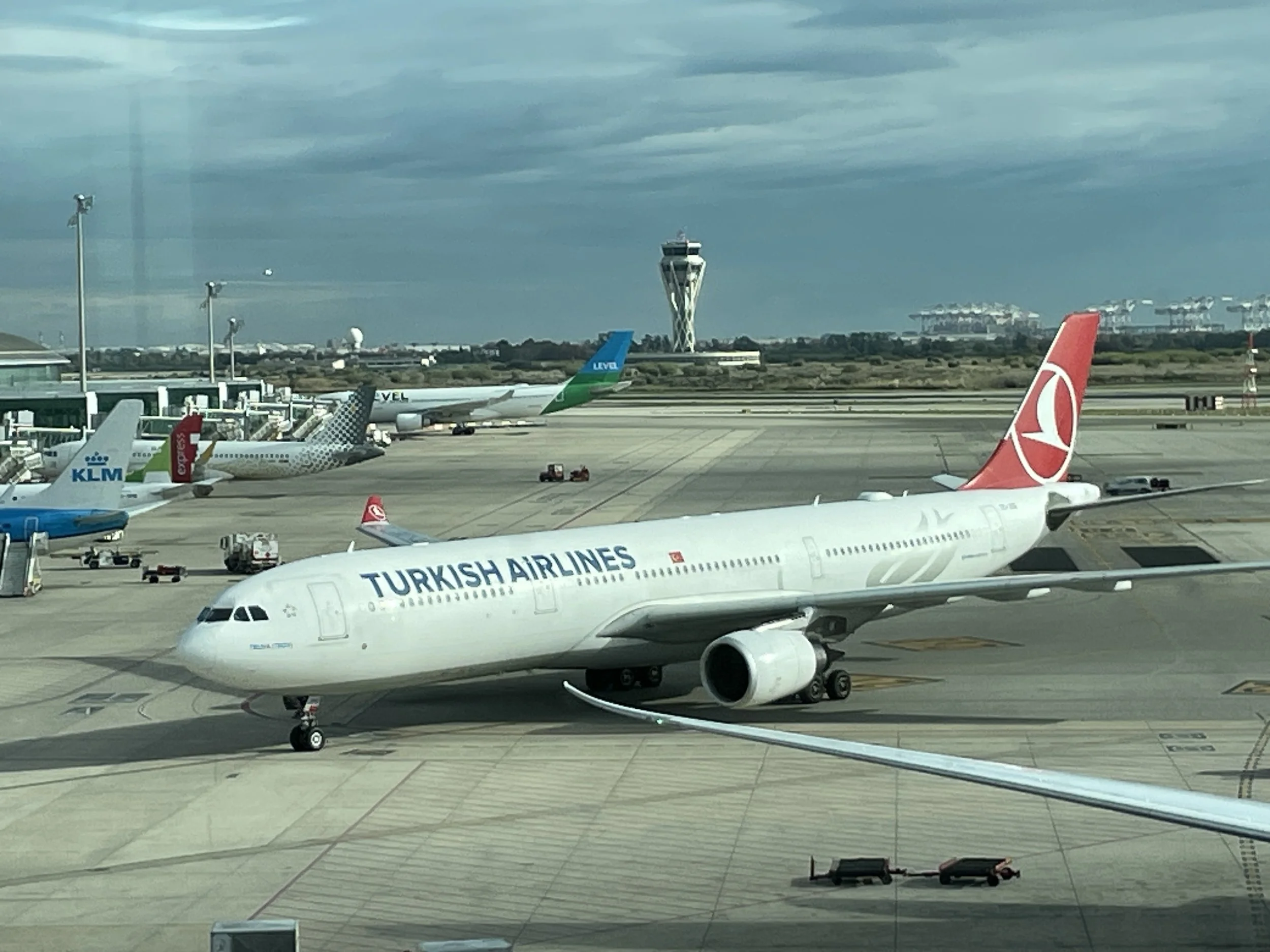 Flight Review Turkish Airlines Airbus A330300 Economy Class — Allplane