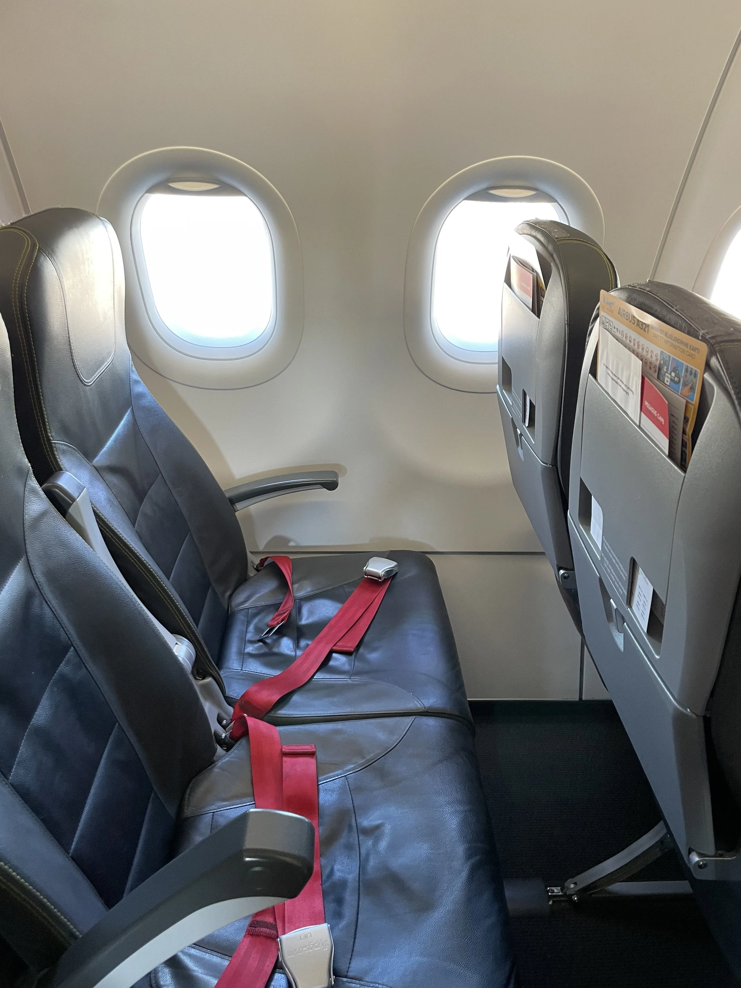 Private Jet Pegasus Airlines Pets Decorated Unicorn Pegasus, Foal - Main Image