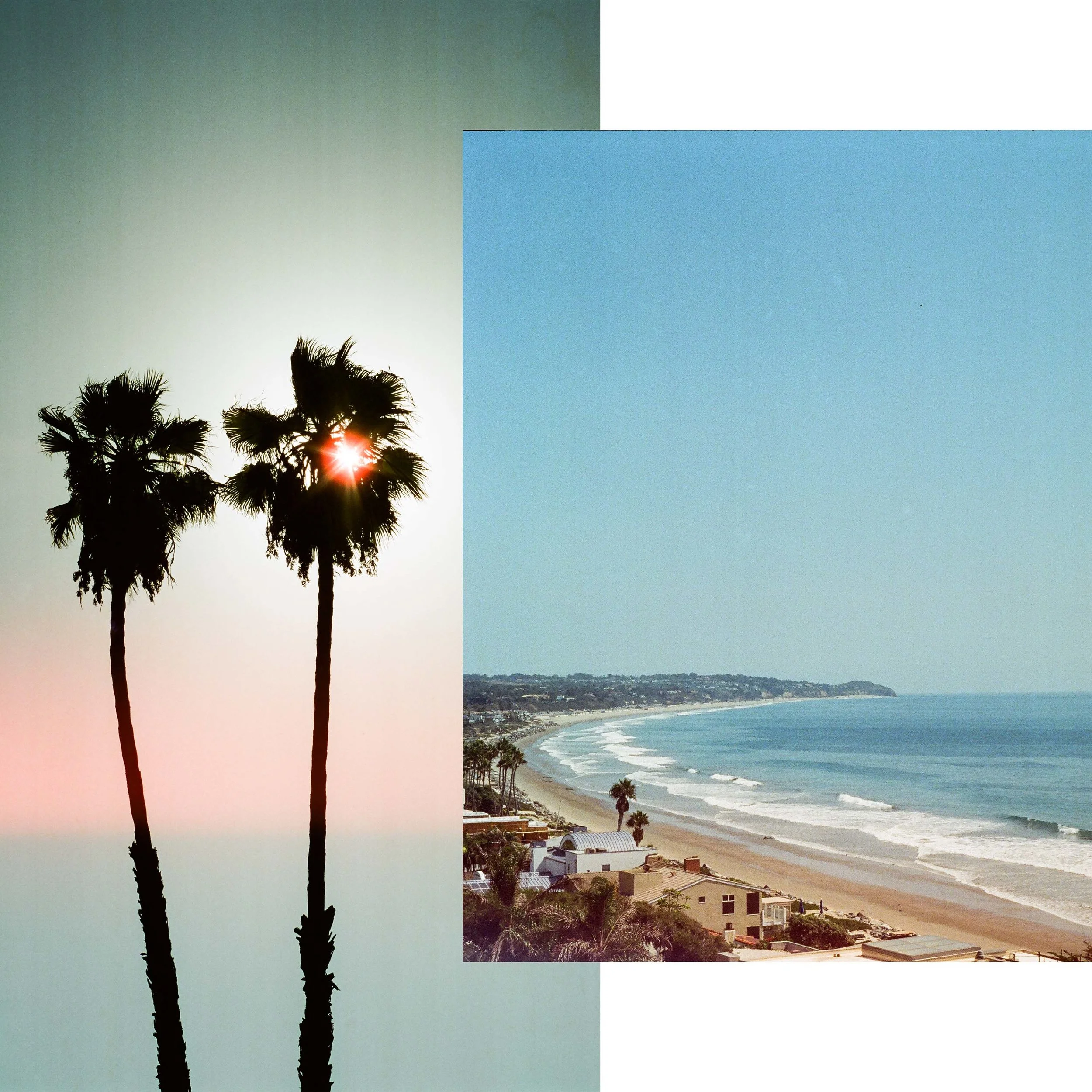 Palms_Ocean.jpg