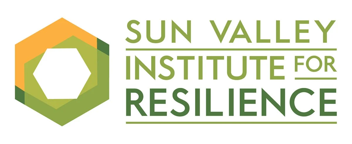 SVIFR_2021_LOGO.jpg