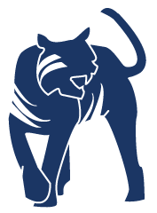 Tyger Solutions Corporation