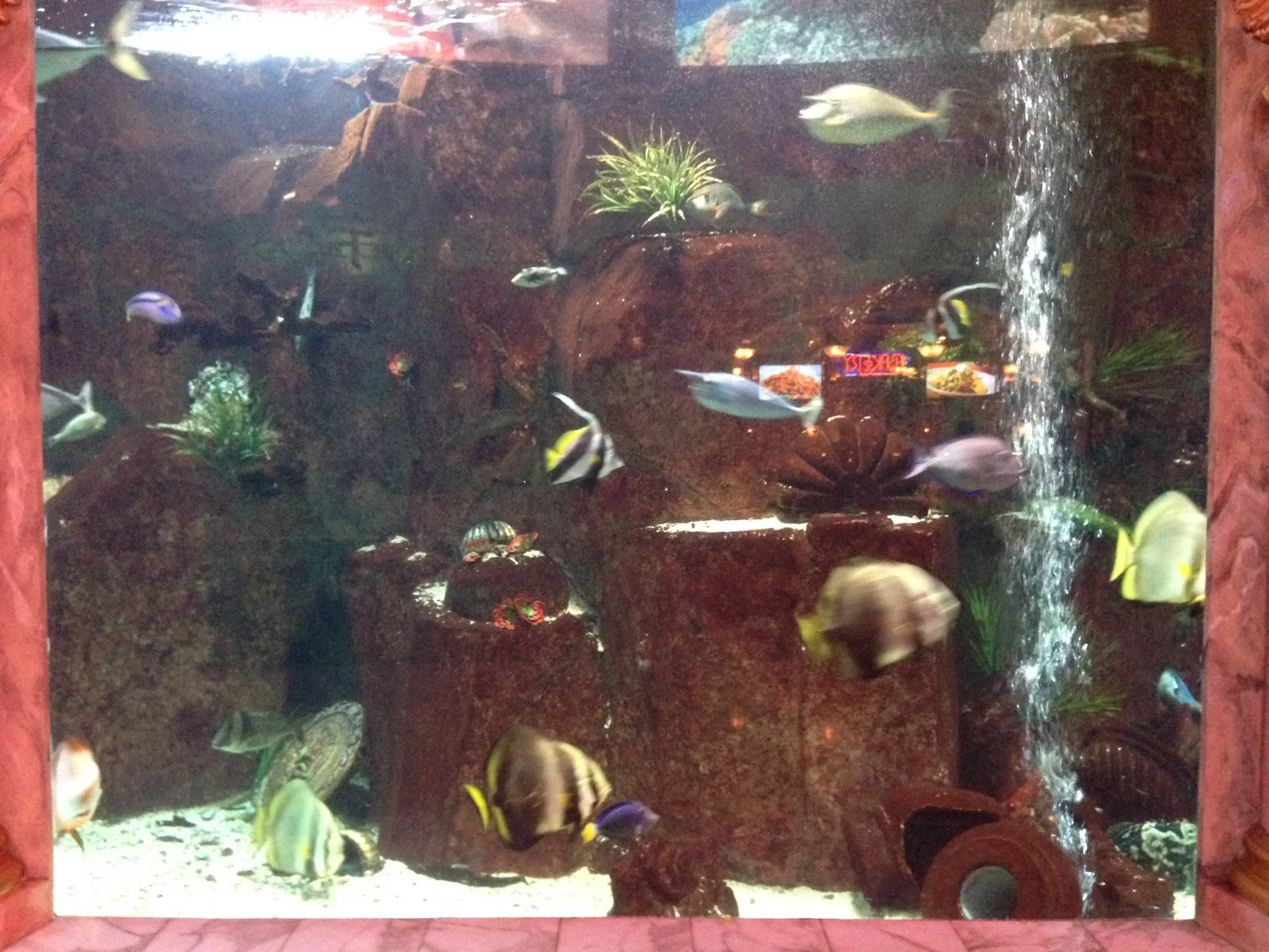 Aquarium at Shoppes at Caesar's