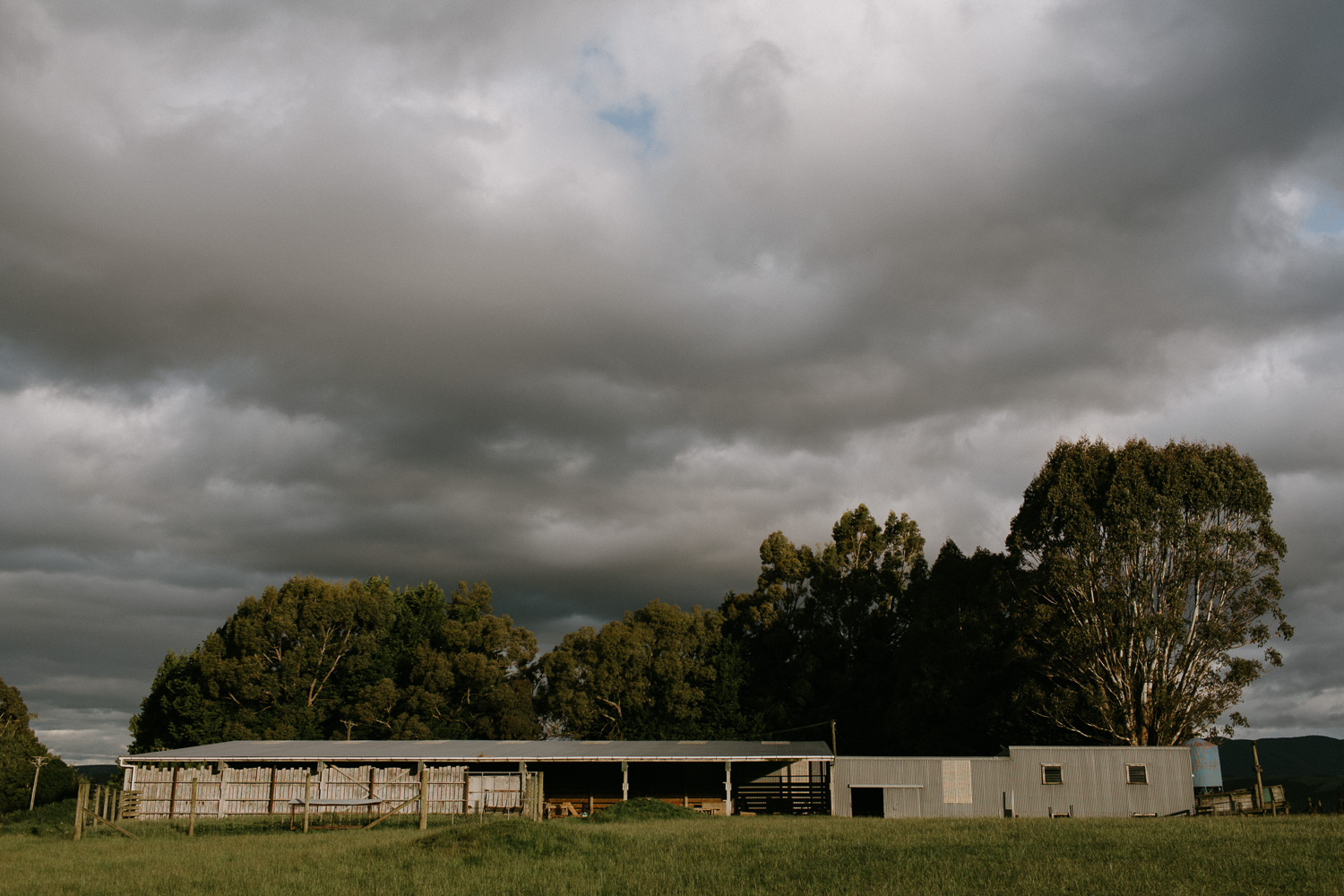 048-everbay-new-zealand-wedding-photographer-IMG_8785.jpg