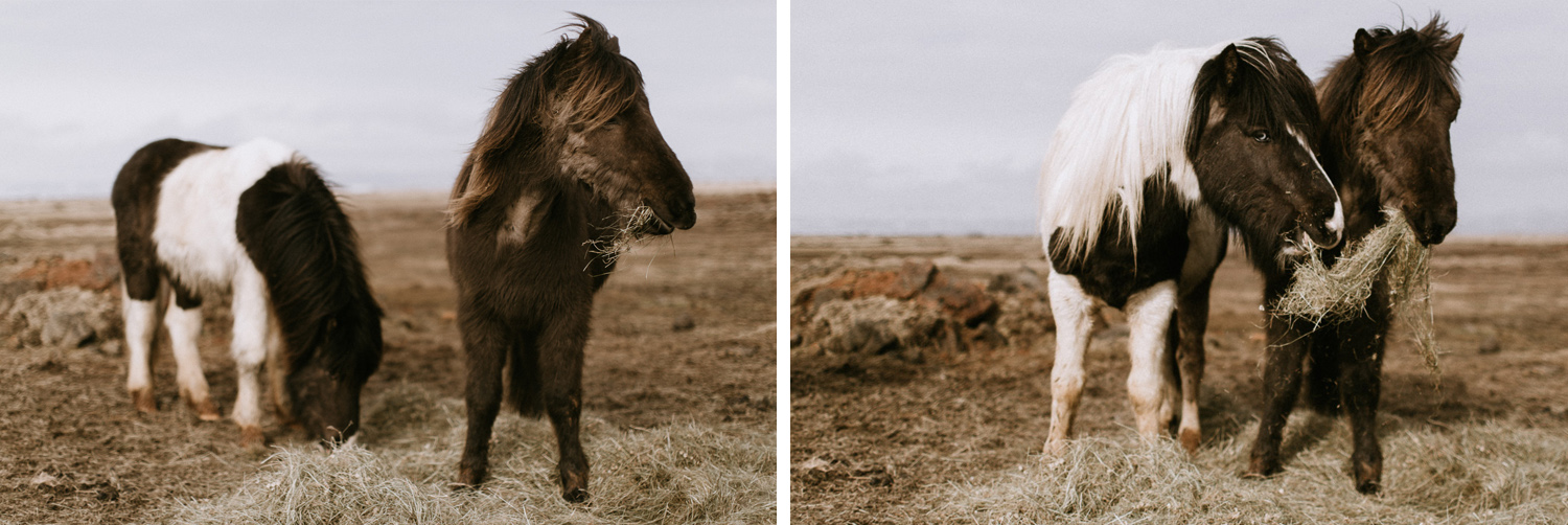 everbay-iceland-wedding-photographer-rm-068.jpg