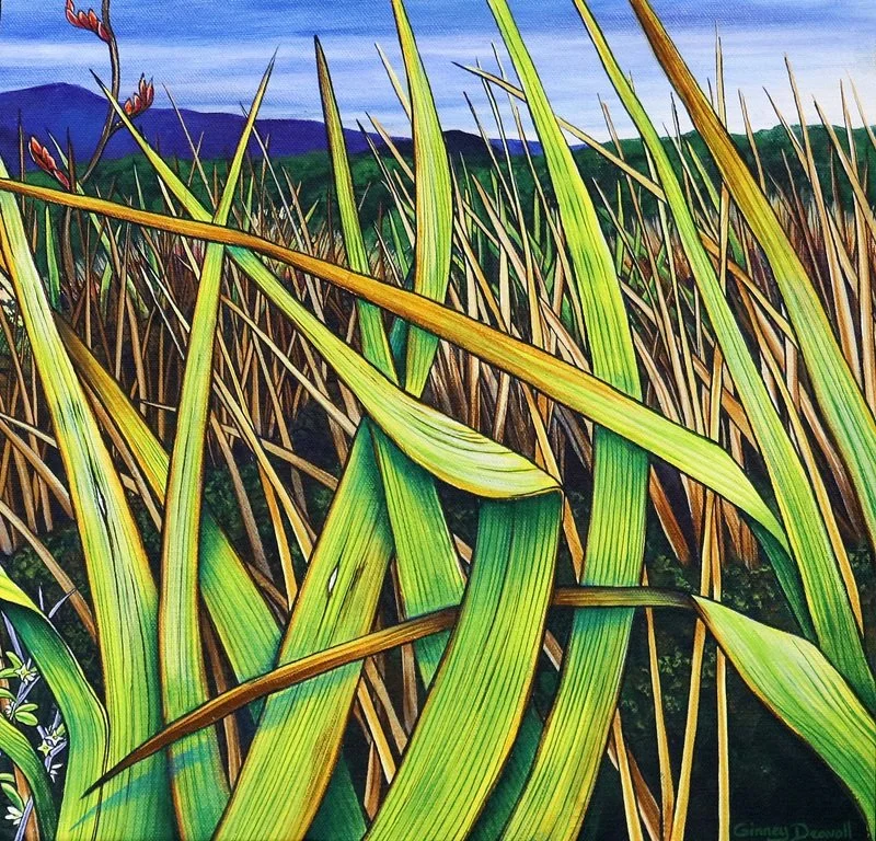 ginney - Copy - Copy.jpg