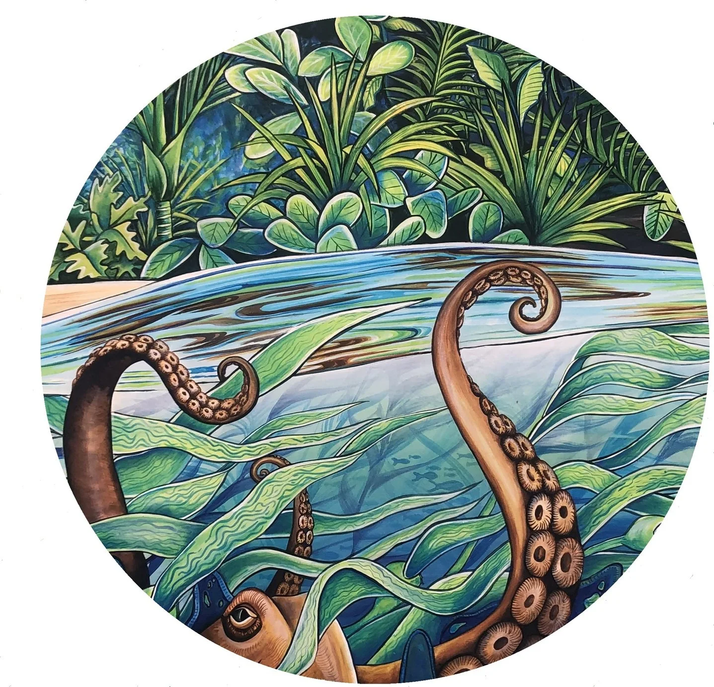 Octopus circle.jpg