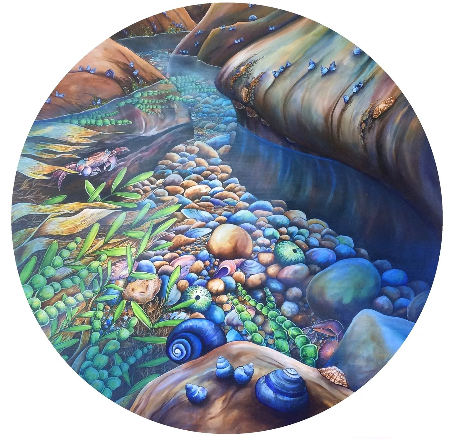Rockpool Circle.jpg