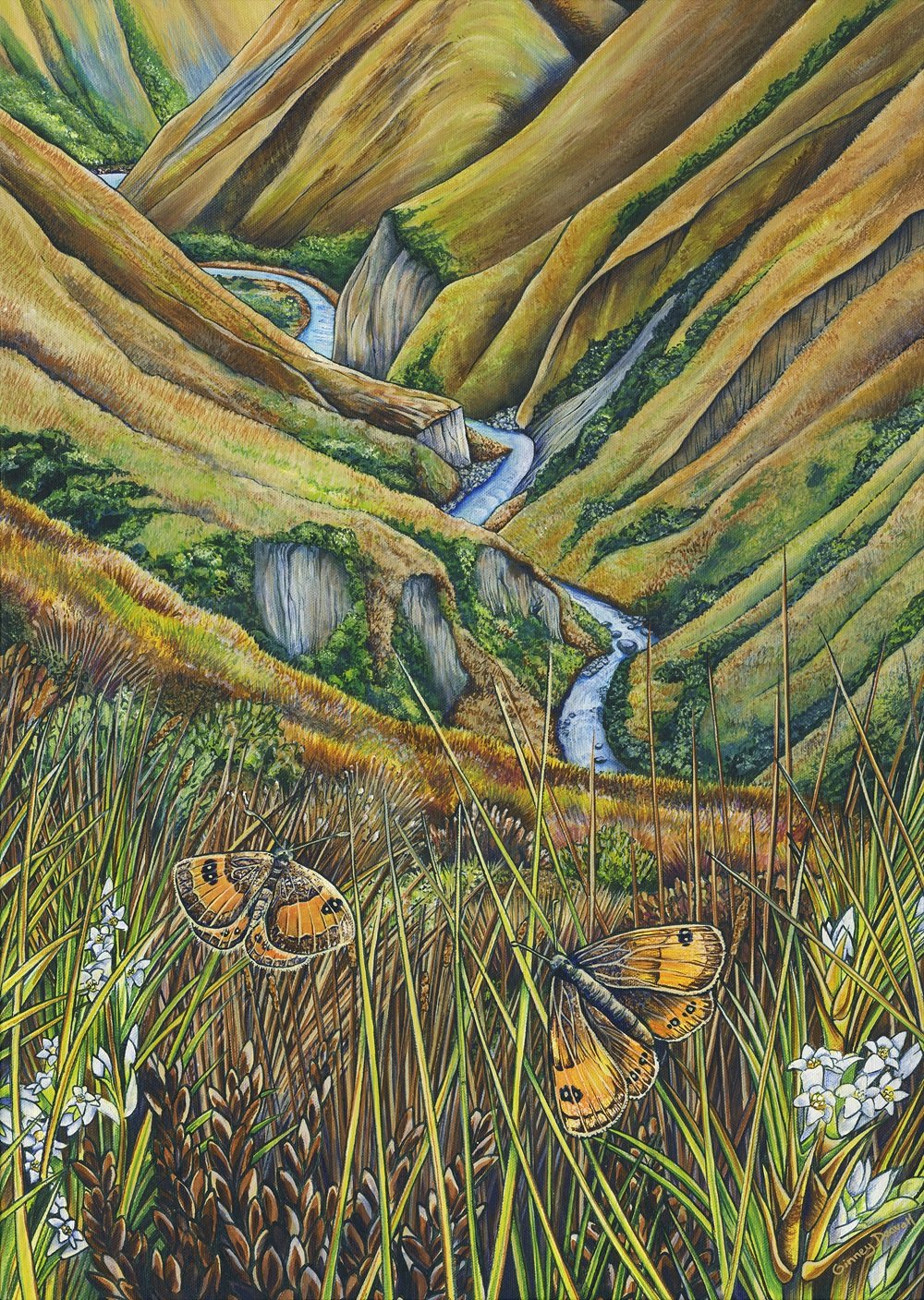 Among Tussock and Time Small.jpg