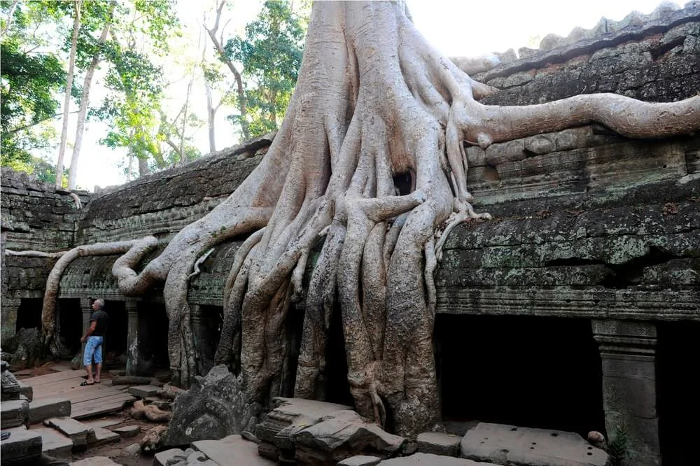 Angkor_Wat_11123241.jpg