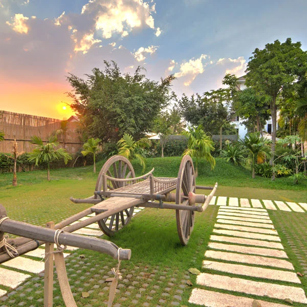 View of Sunset