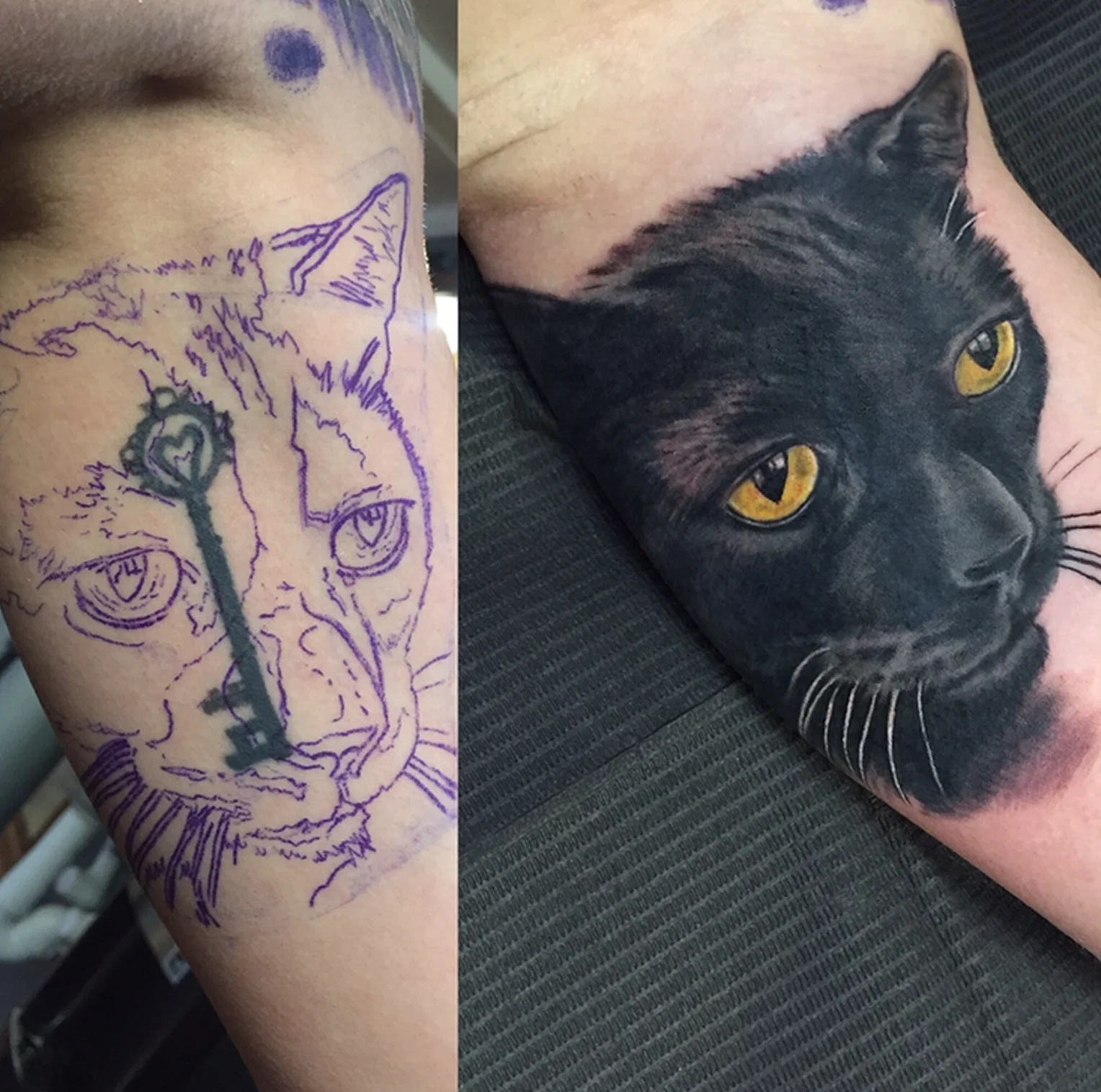 kittycoverup.jpg