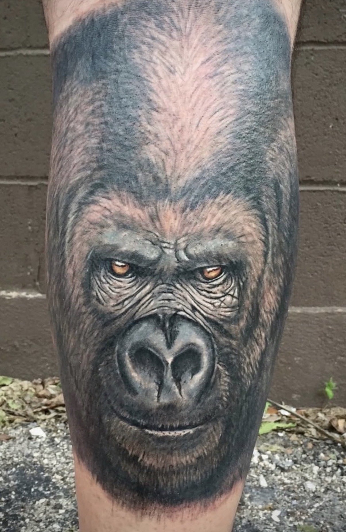 black and grey realism gorilla portrait tattoo Austin by Andrew Matela