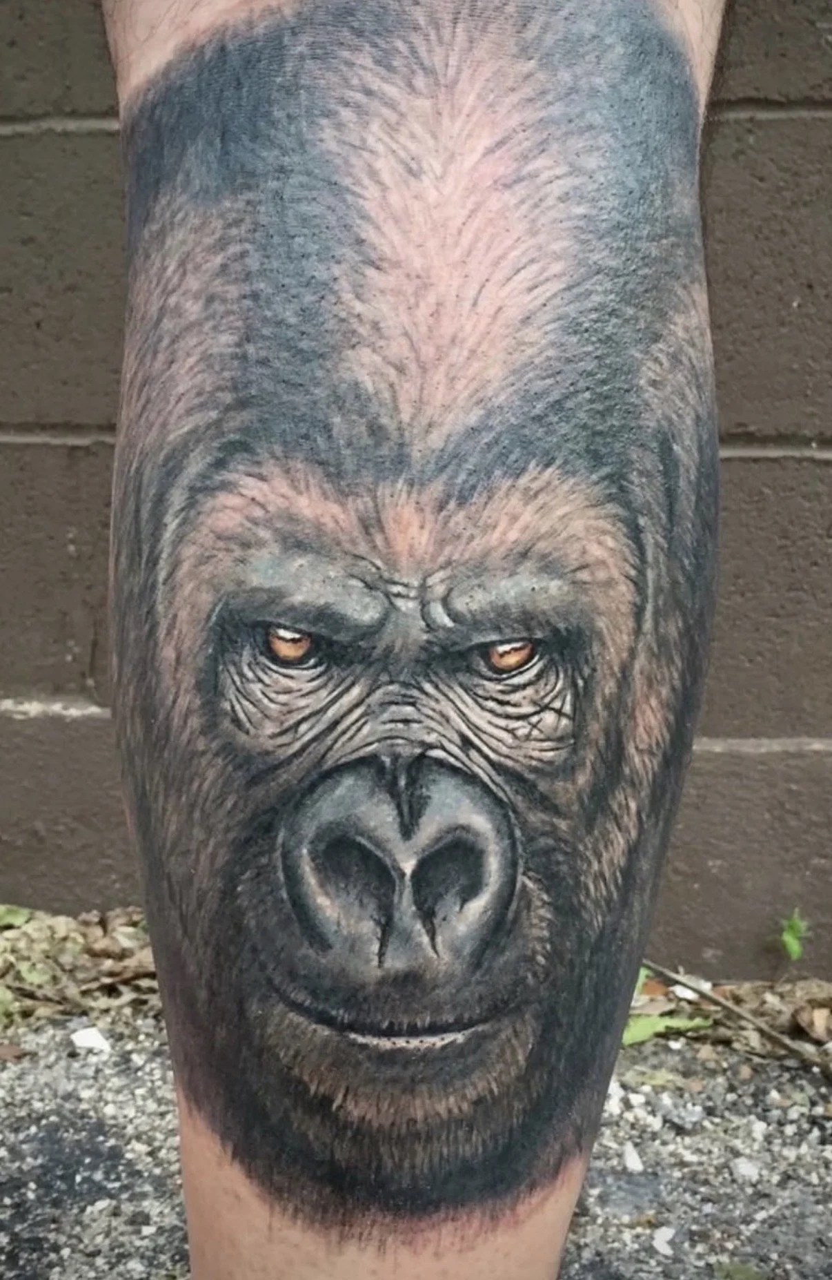 custom color realism gorilla amber eyes leg tattoo Austin by Andrew Matela