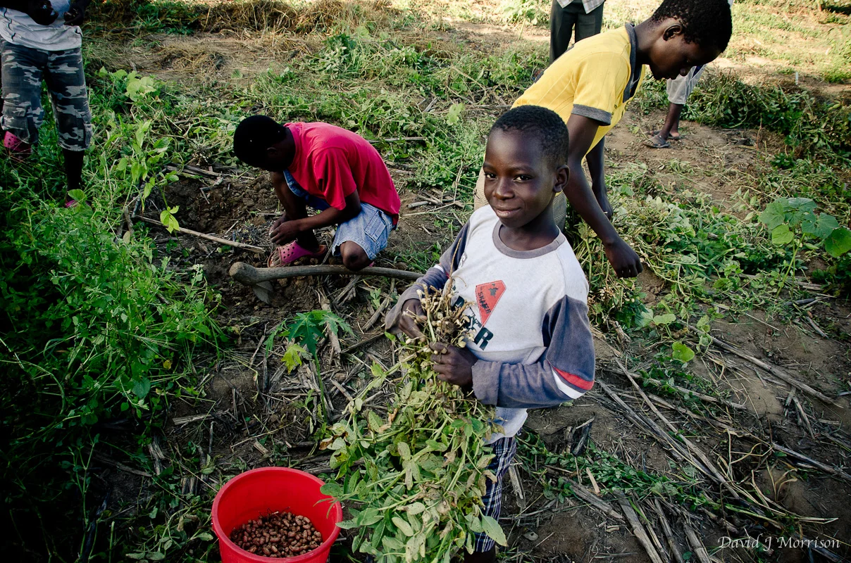 Malawian children learning how to grow their own food to create a stronger village. 