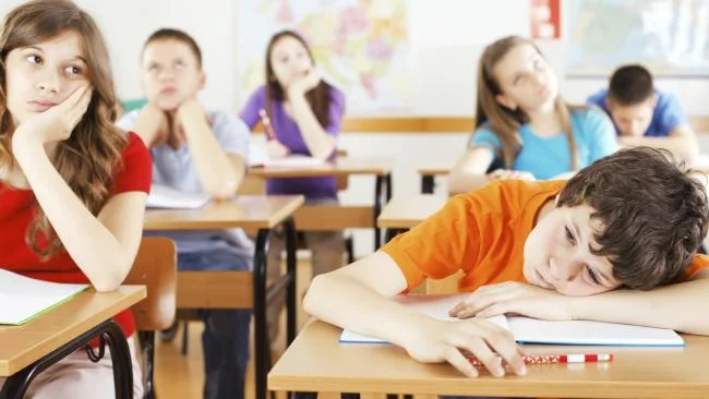 Finnish schools no longer teaching subjects like maths and science