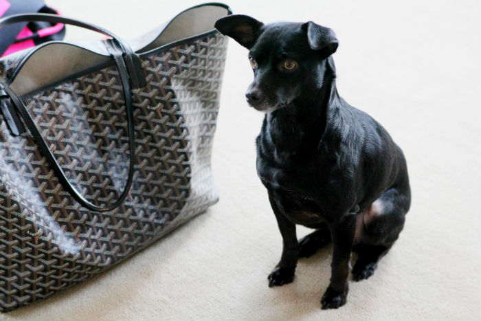 Home Visit: Denise Junell, Designer Handbags Buyer for Nordstrom — ART OF  WORE