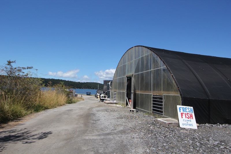 lopez-island-fresh-clams-oysters-shack.jpg