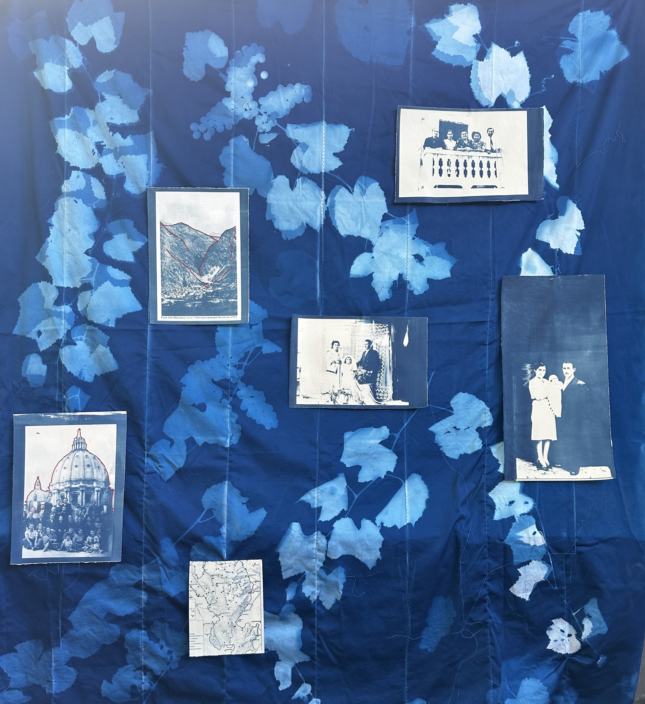 Life Images by Jill: Experimenting with wet cyanotype
