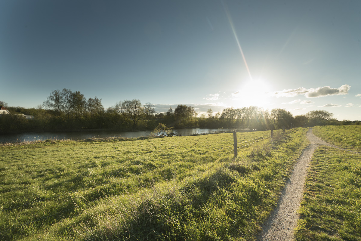 _dsc2671_jakobvindpreview.jpg