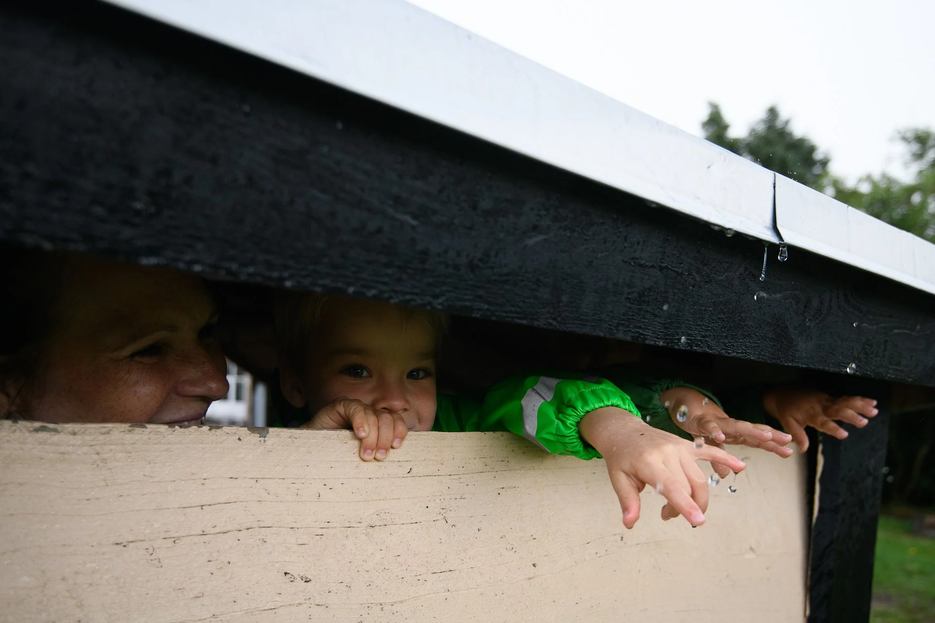 _DSC5678 copy512.JPG