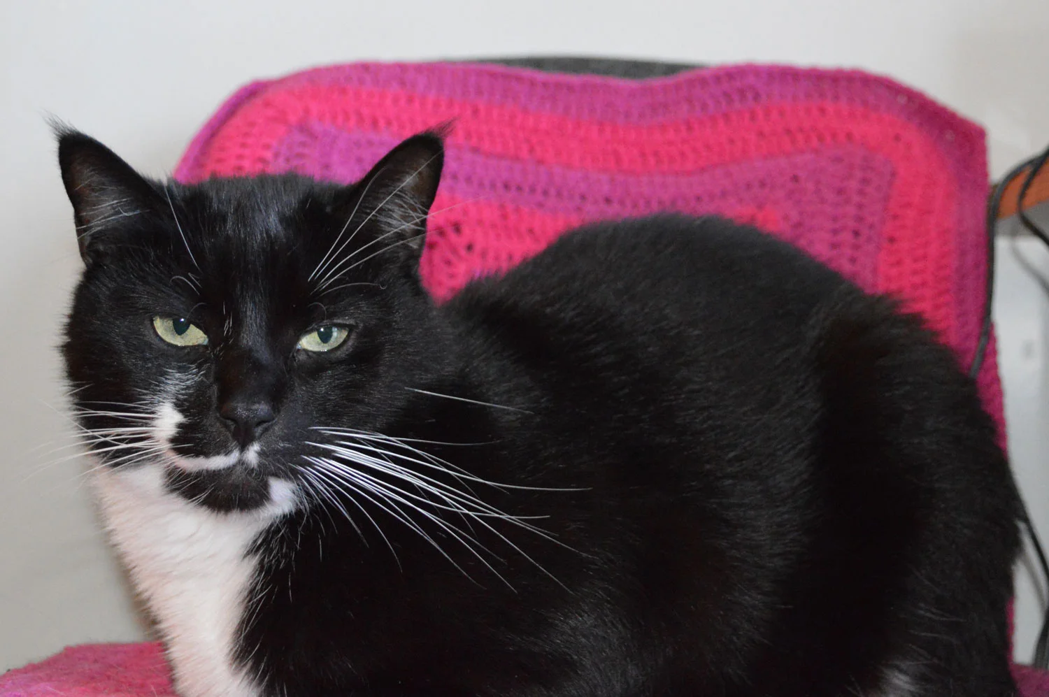 This is why I spent months crocheting a baby blanket and didn't end up giving it to the intended mother-to-be. A cat burglar stole it. (Tee hee!)