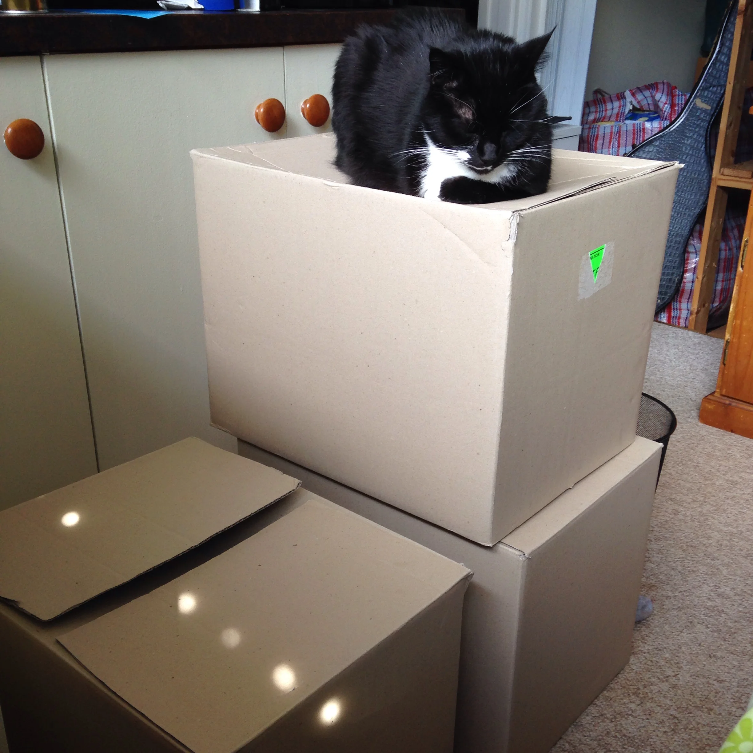 What I've been up to (September 2015)