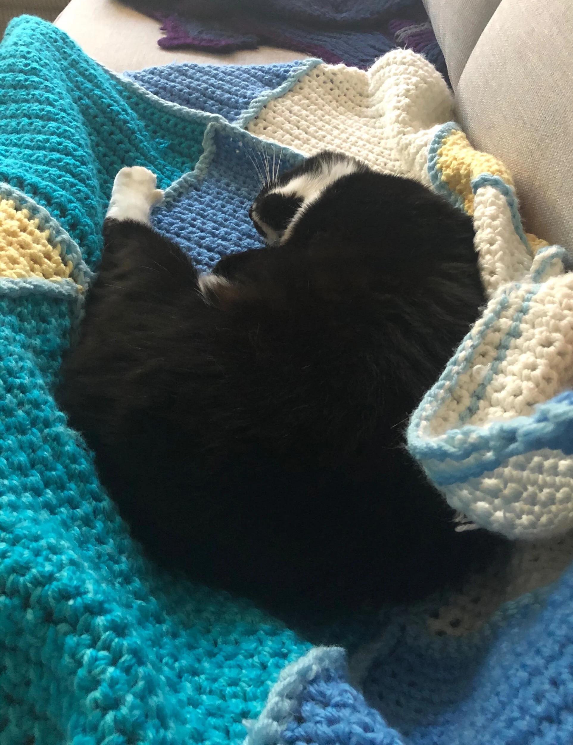 Self isolation, day 1