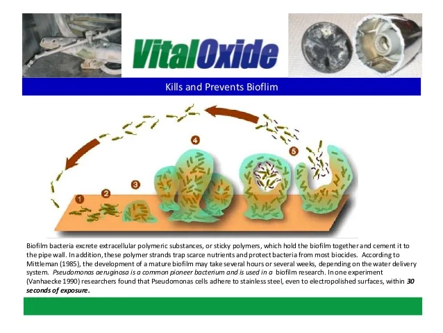 VO-bio-film.jpg