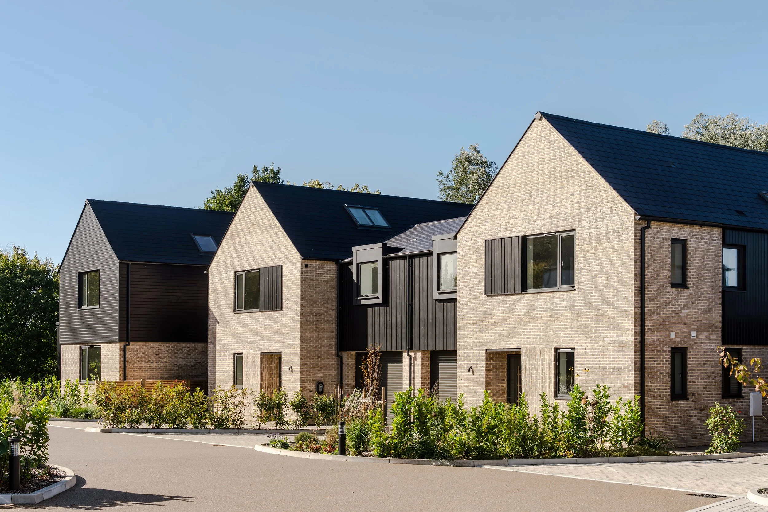 sandpiper close-12.jpeg