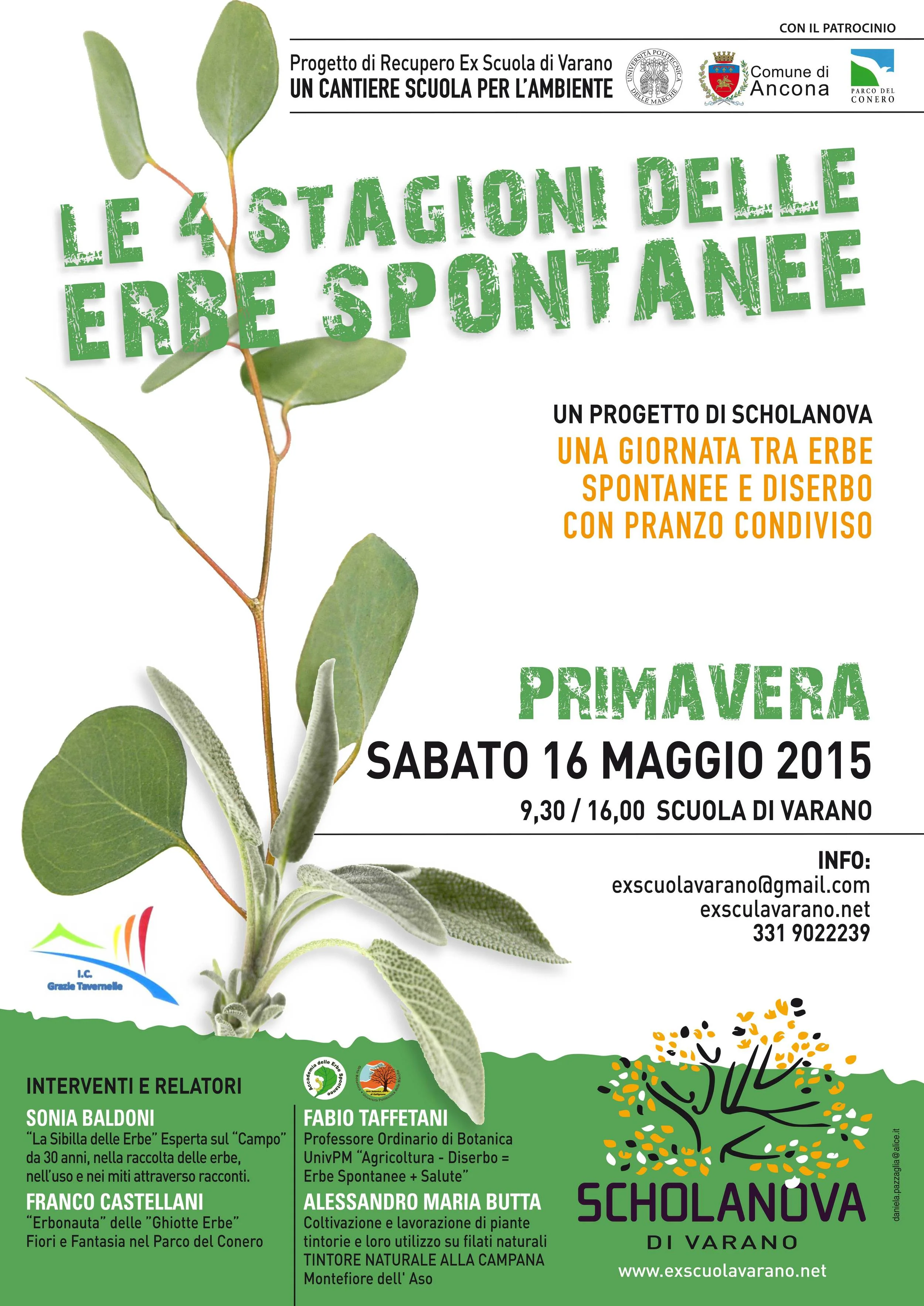 Le 4 Stagioni Delle Erbe Spontanee