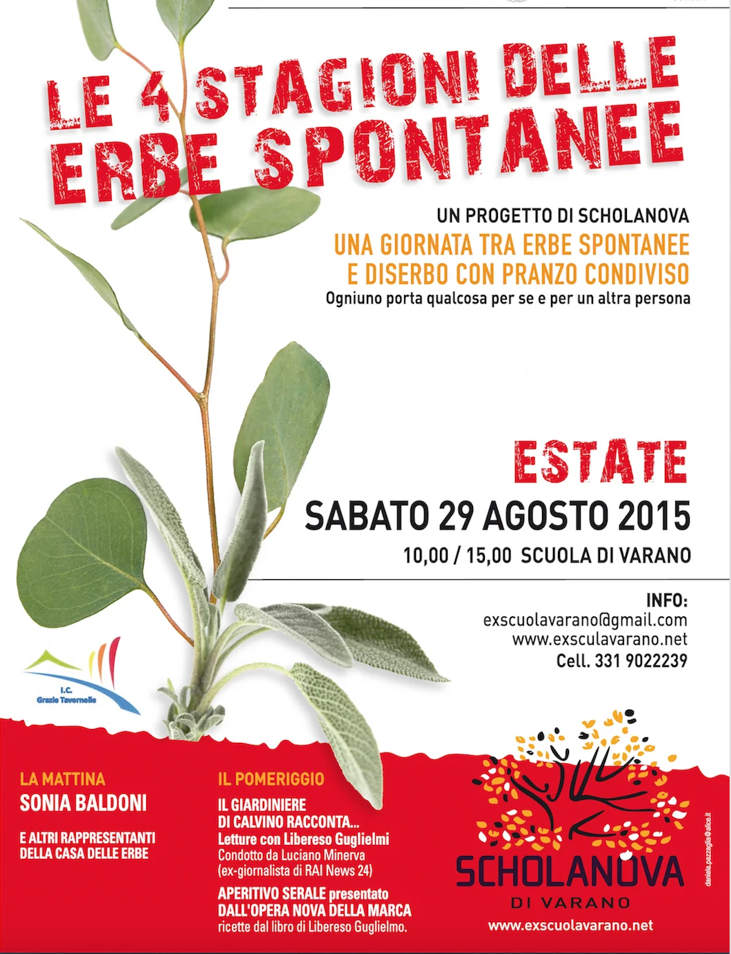 Le 4 Stagioni Delle Erbe Spontanee