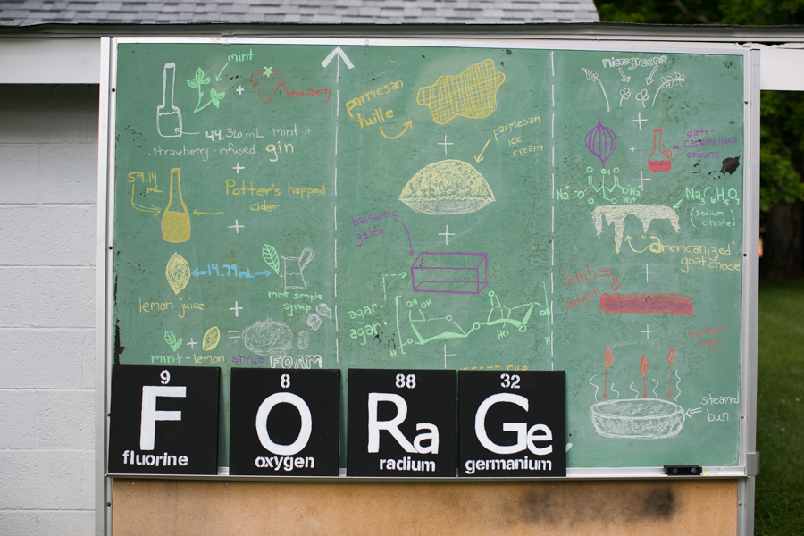 kristenfinn_forage_molecular_WEB_069.jpg