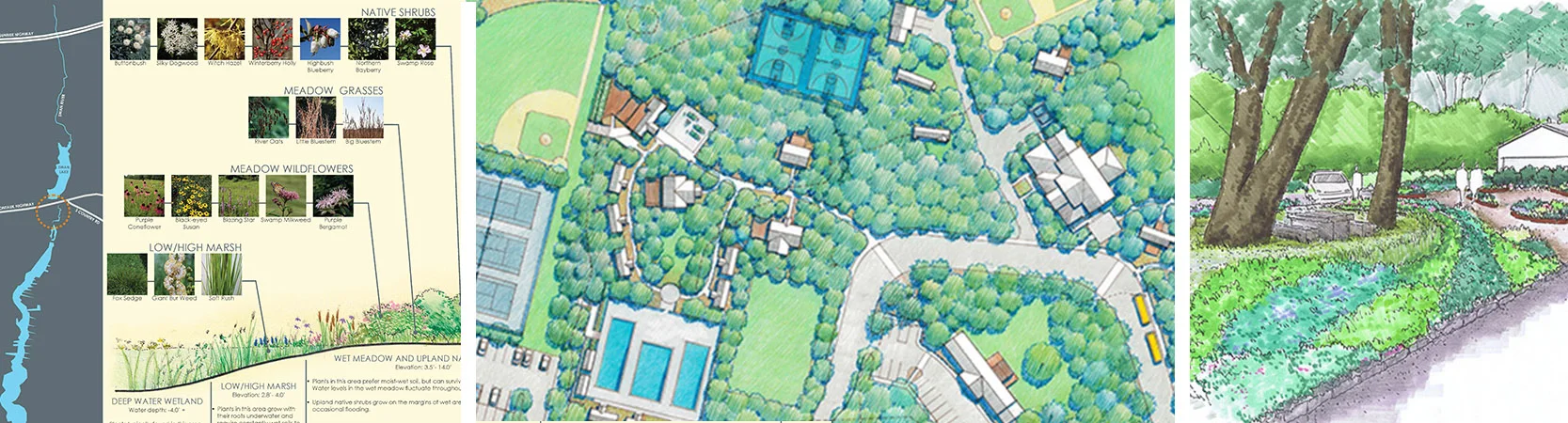 Public & Institution_Edittable Banner_revised.jpg