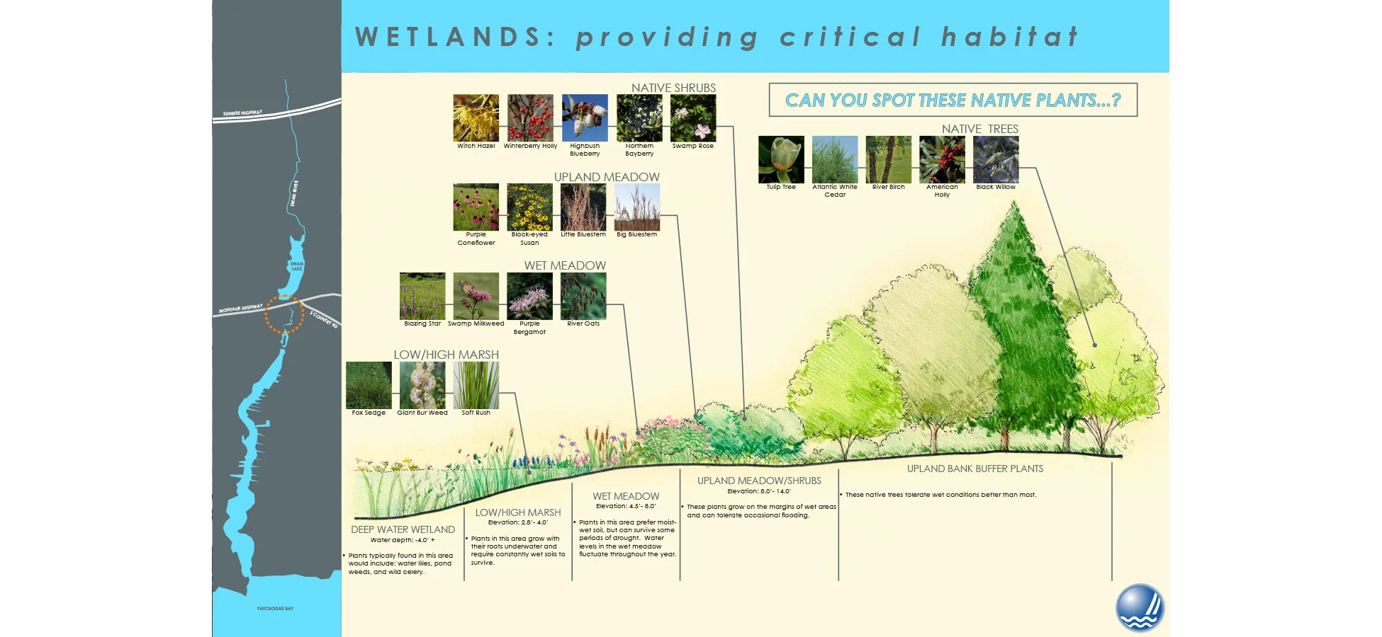 Panel 1 - edited.jpg