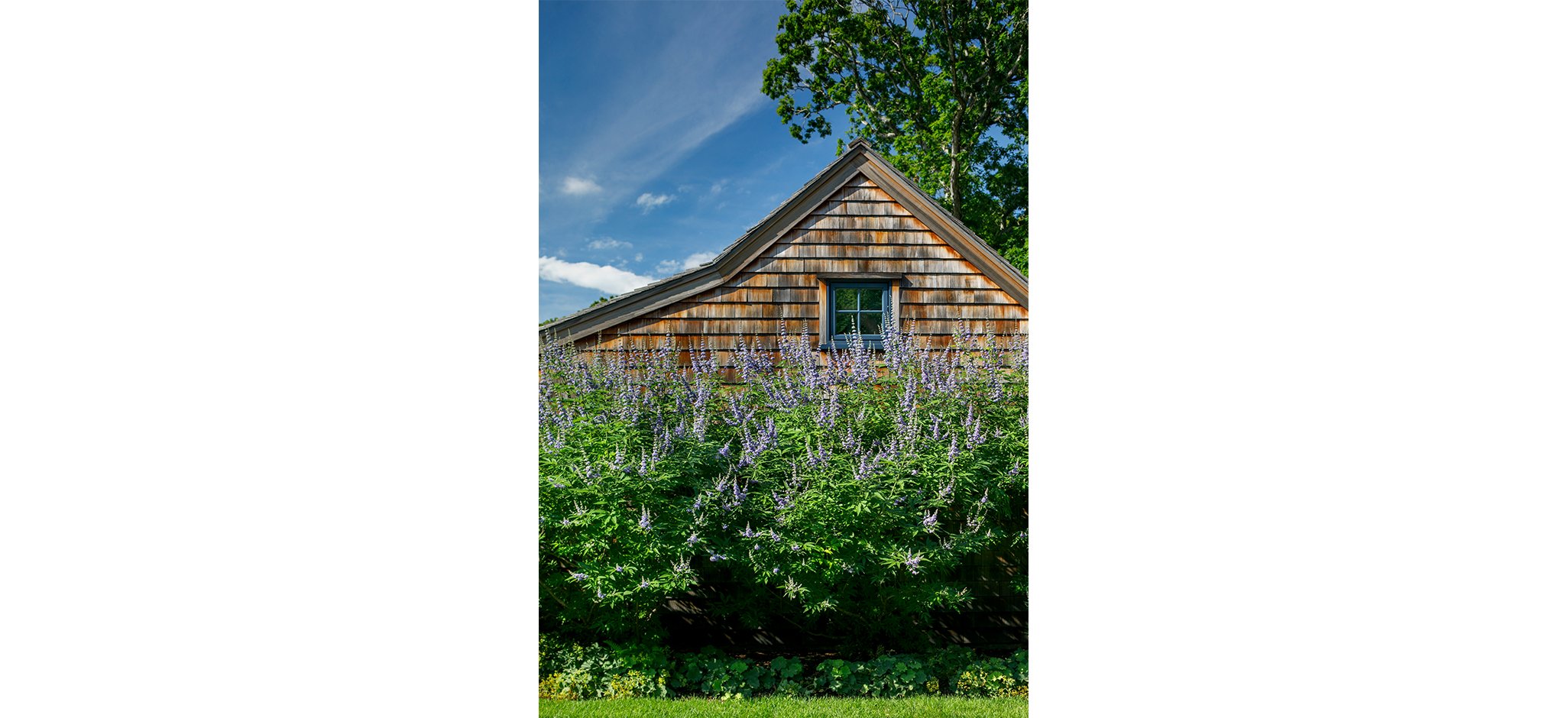 SagHarbor_2.jpg