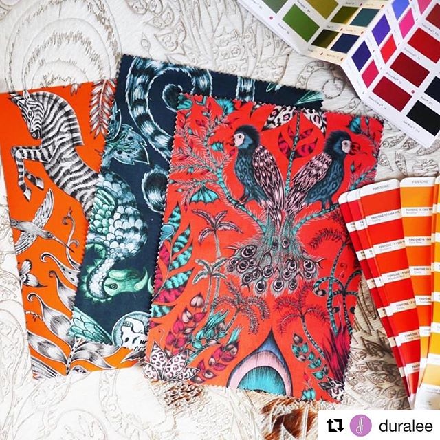 #Repost @duralee with @get_repost
・・・
Lions and tigers and bears, OH MY! We're finding it hard not to fall in love with Animalia, a new collection of coordinating fabric and wall coverings by artist @emmajshipley for @clarke_clarke_interiors. Stop by